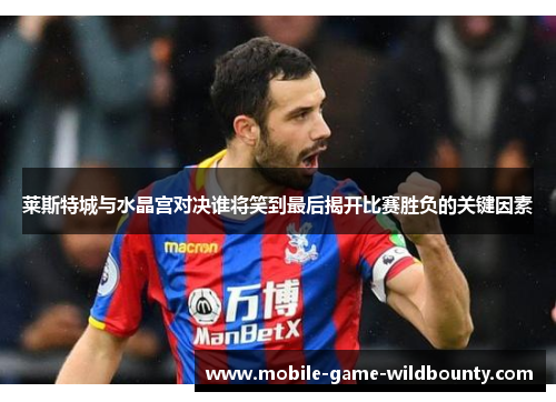 莱斯特城与水晶宫对决谁将笑到最后揭开比赛胜负的关键因素