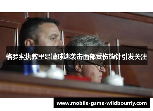 格罗索执教里昂遭球迷袭击面部受伤缝针引发关注 格罗索执教里昂遭球迷袭击面部受伤缝针引发关注