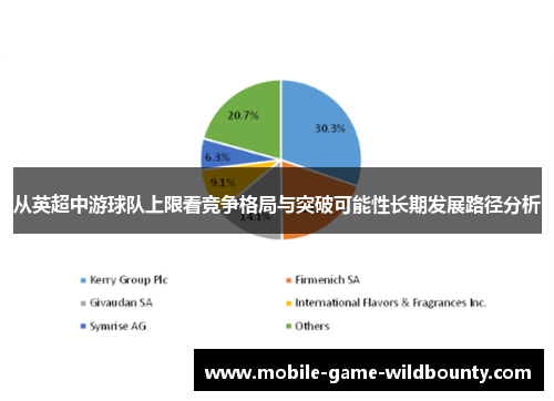 从英超中游球队上限看竞争格局与突破可能性长期发展路径分析