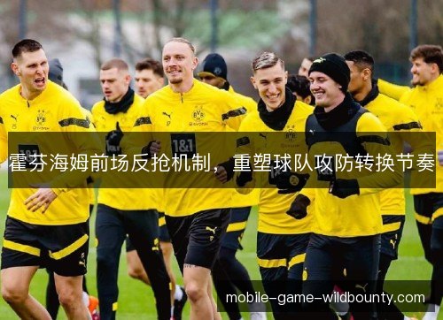 霍芬海姆前场反抢机制,重塑球队攻防转换节奏 霍芬海姆前场反抢机制,重塑球队攻防转换节奏